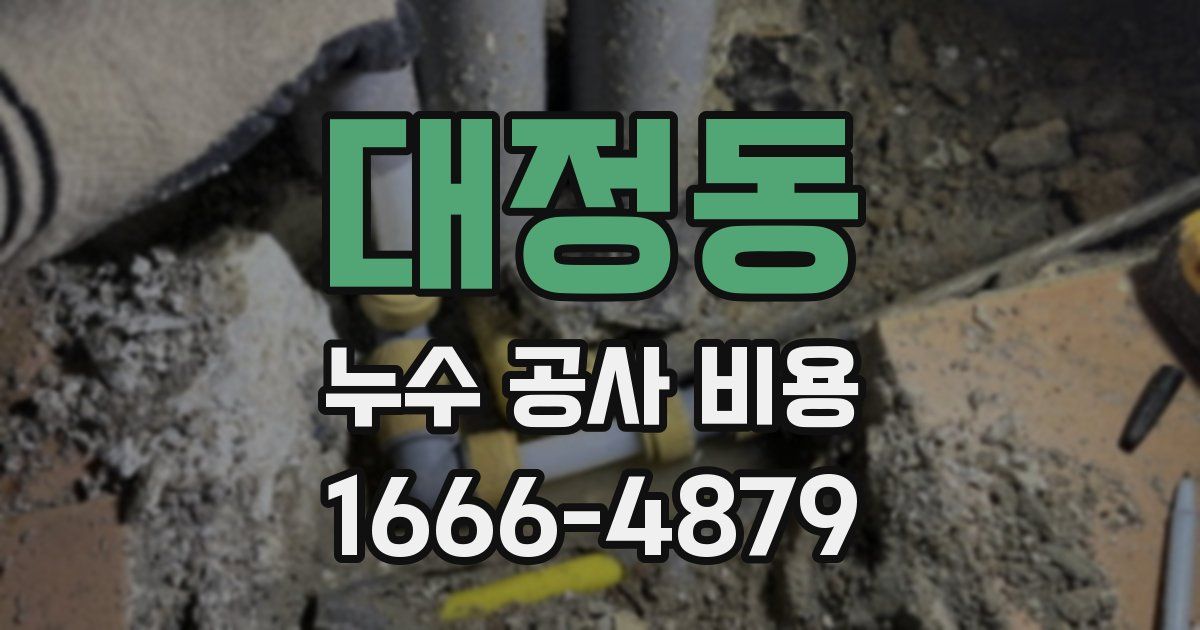 대정동 누수 공사 비용