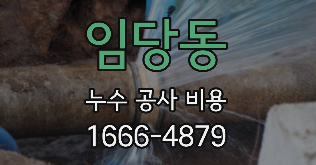 임당동 누수 공사 비용