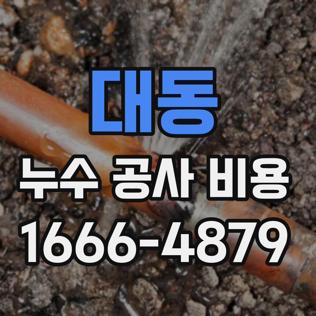대동 누수 공사 비용