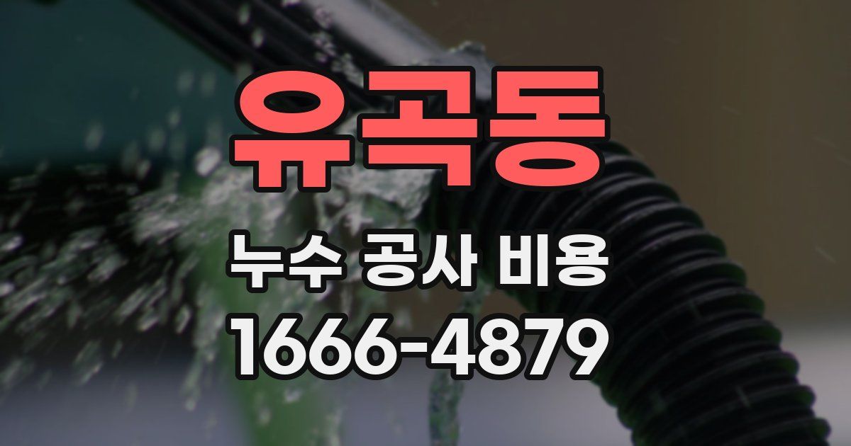 유곡동 누수 공사 비용