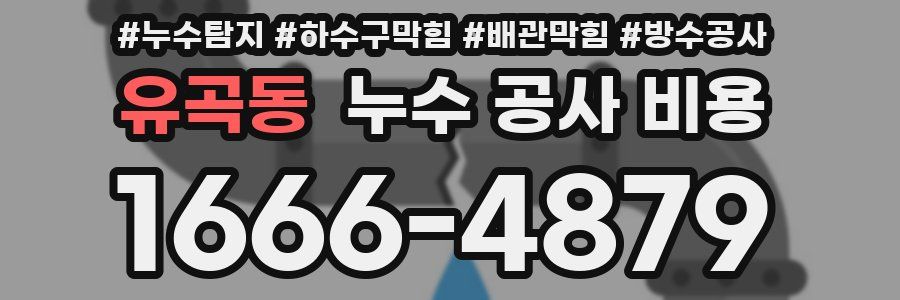 유곡동 누수 공사 비용