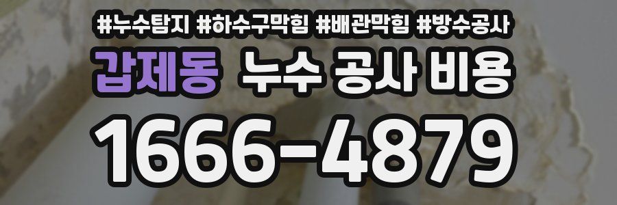 갑제동 누수 공사 비용