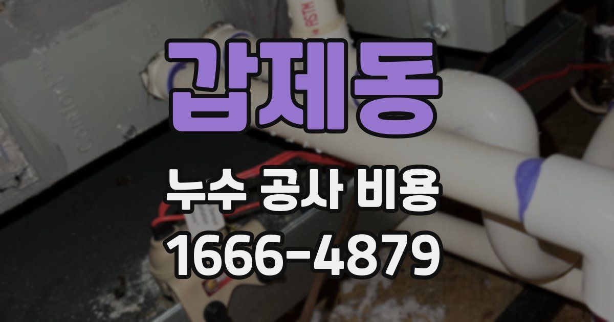 갑제동 누수 공사 비용