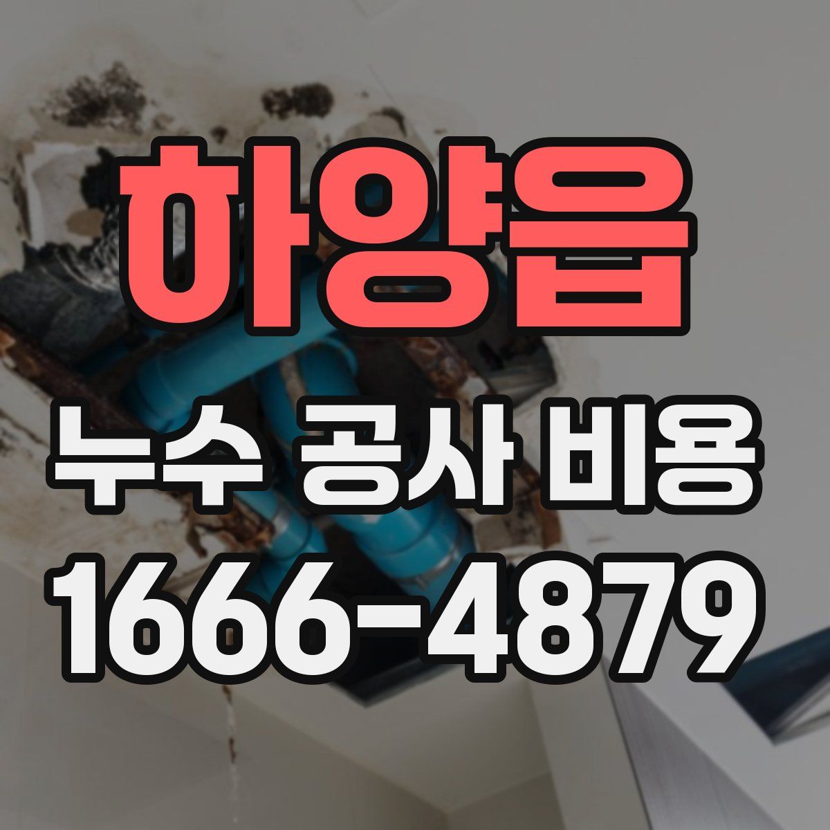 하양읍 누수 공사 비용