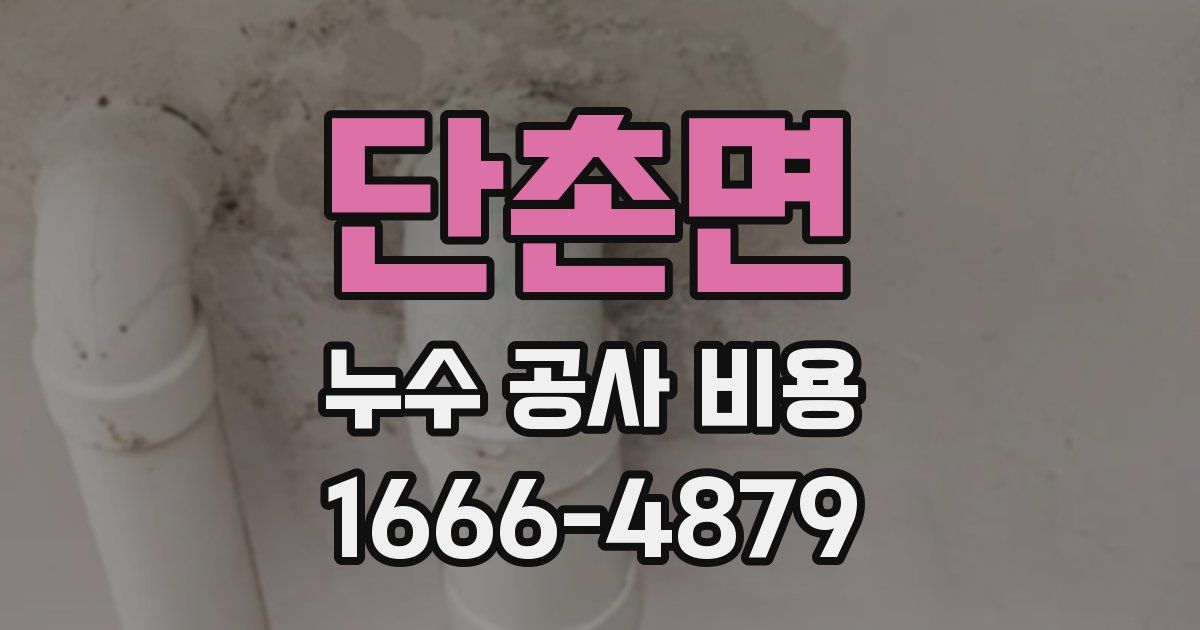 단촌면 누수 공사 비용