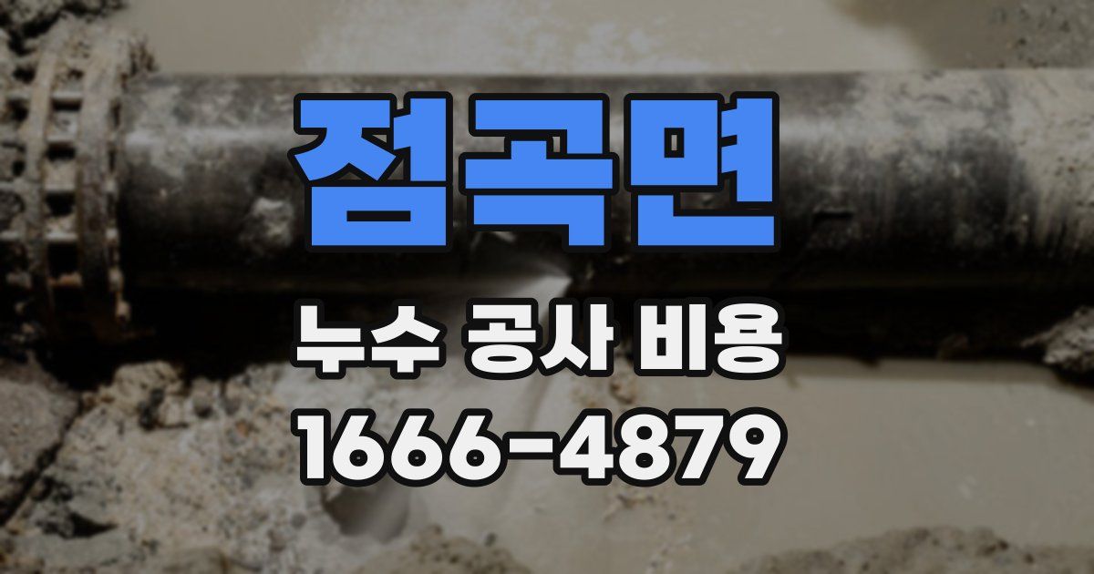 점곡면 누수 공사 비용