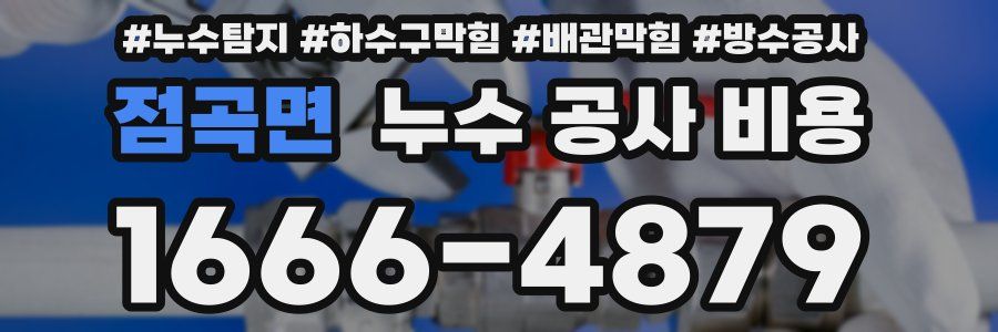 점곡면 누수 공사 비용