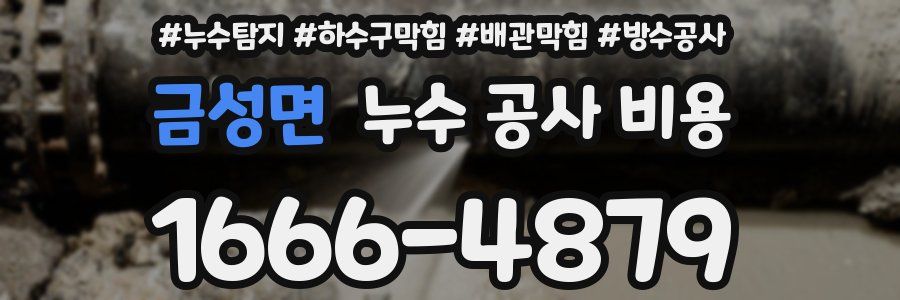 금성면 누수 공사 비용