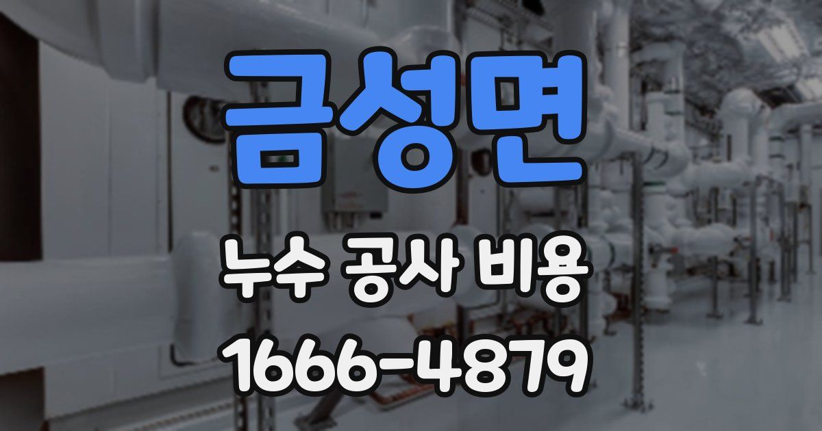 금성면 누수 공사 비용