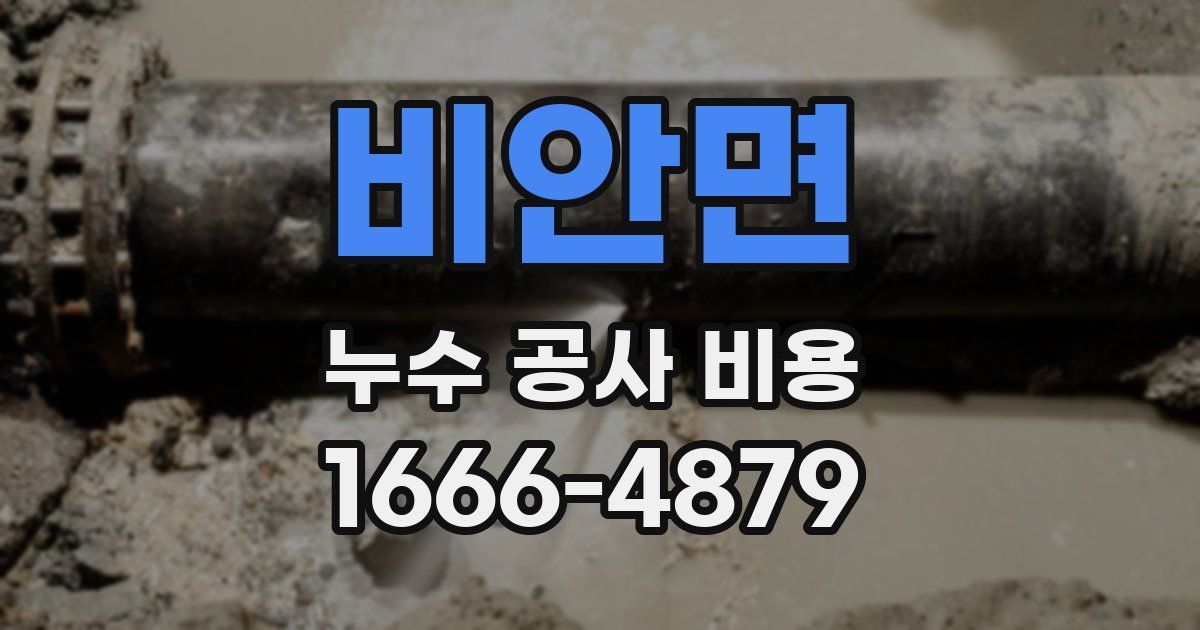 비안면 누수 공사 비용