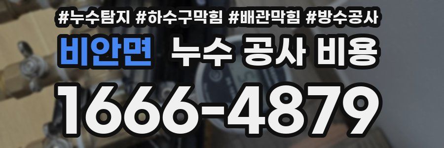 비안면 누수 공사 비용