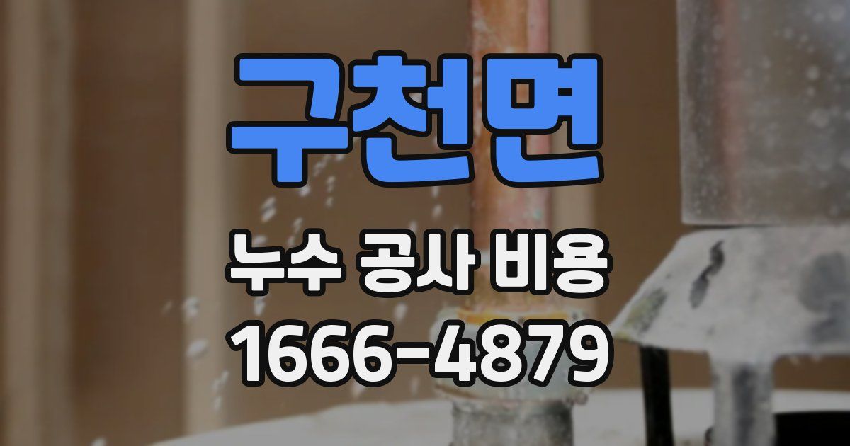 구천면 누수 공사 비용