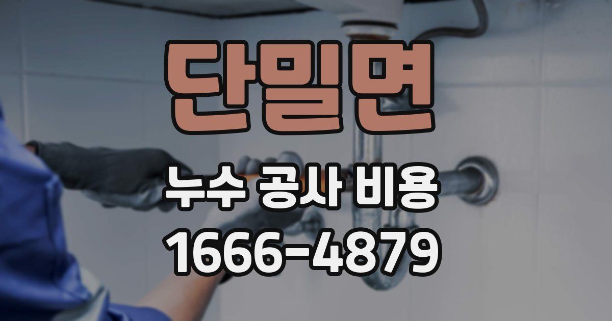 단밀면 누수 공사 비용