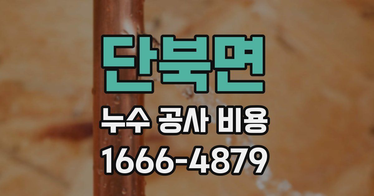 단북면 누수 공사 비용