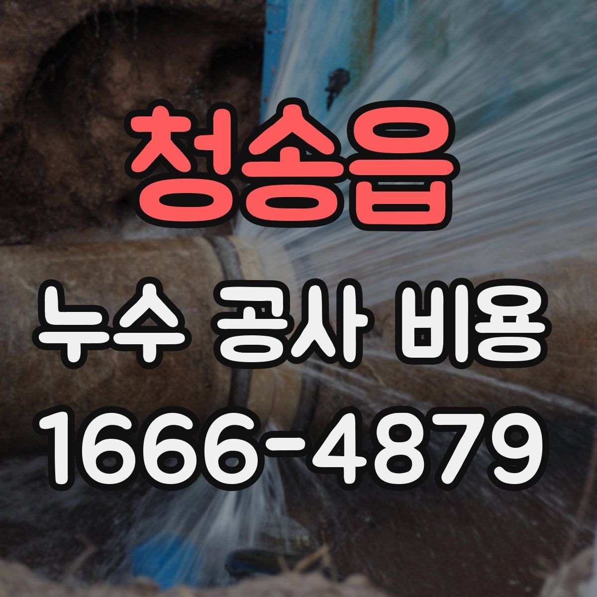 청송읍 누수 공사 비용