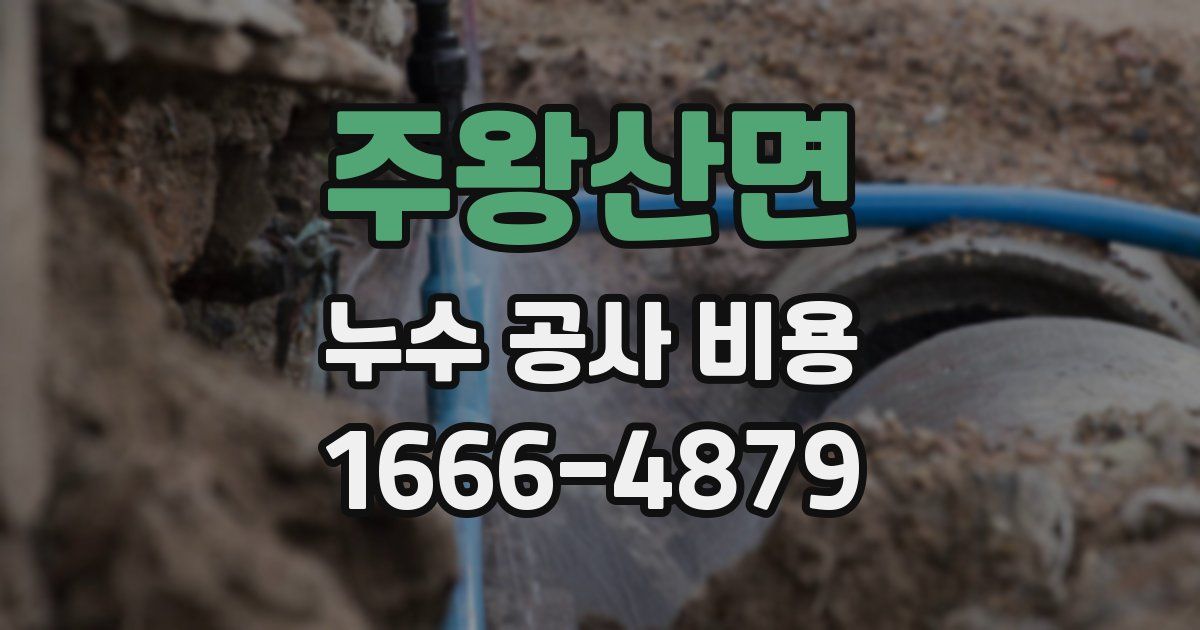 주왕산면 누수 공사 비용