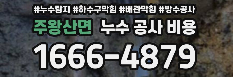 주왕산면 누수 공사 비용