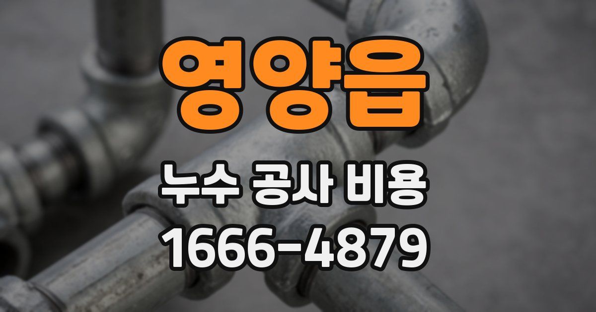 영양읍 누수 공사 비용