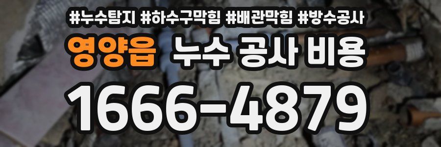 영양읍 누수 공사 비용