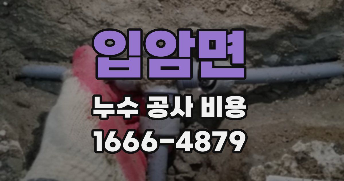 입암면 누수 공사 비용