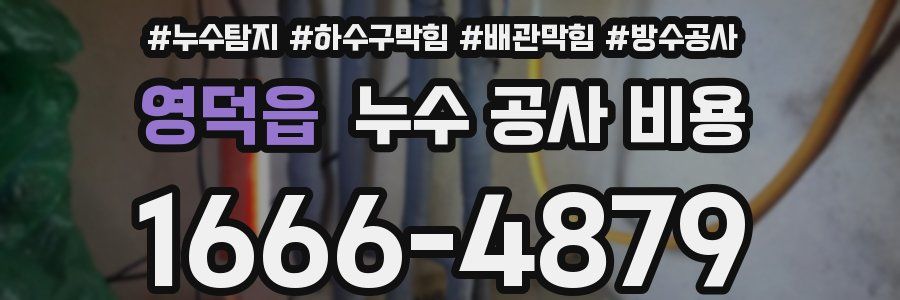 영덕읍 누수 공사 비용