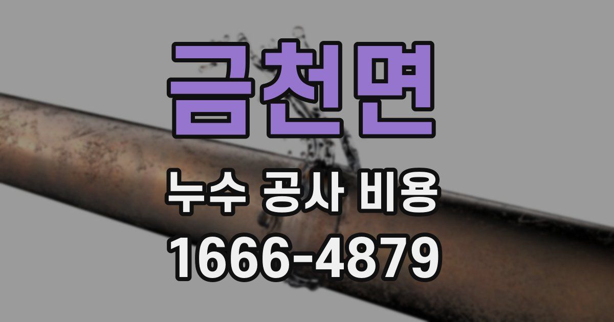 금천면 누수 공사 비용