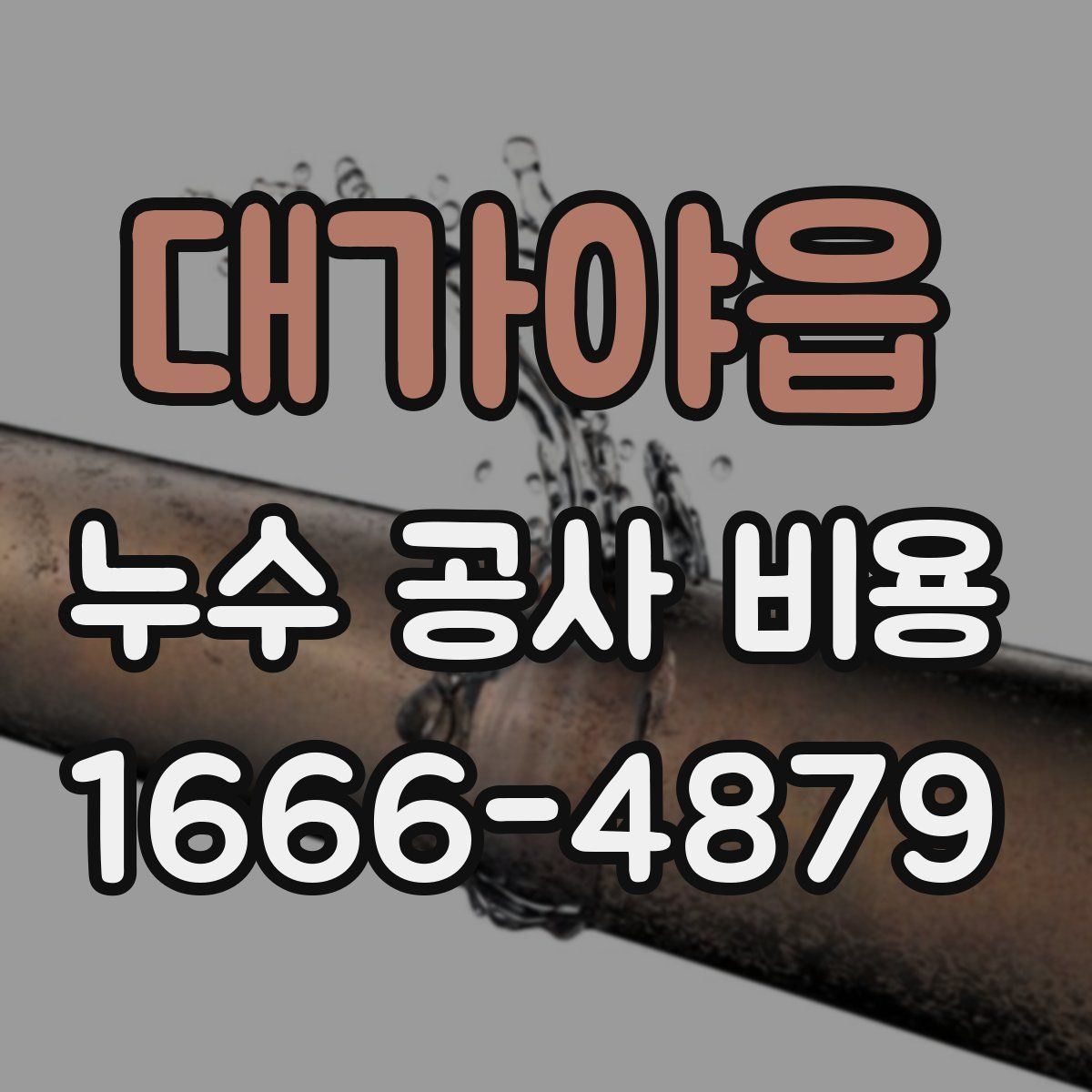 대가야읍 누수 공사 비용