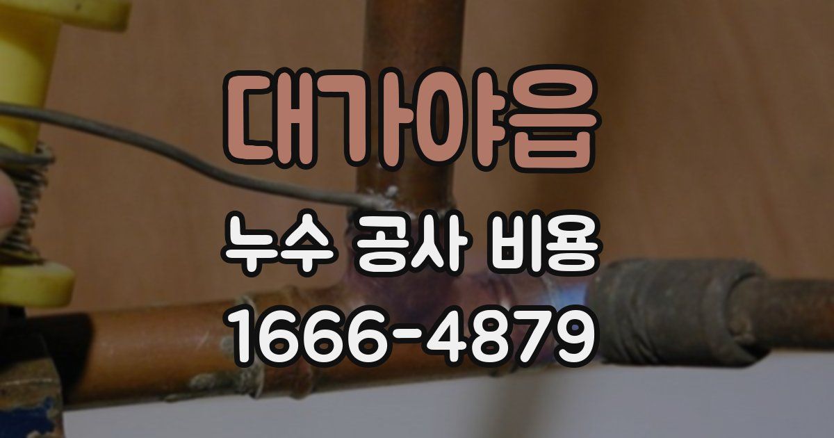 대가야읍 누수 공사 비용
