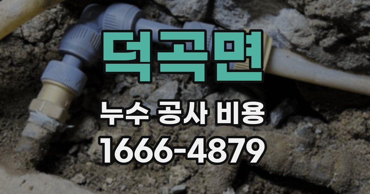 덕곡면 누수 공사 비용