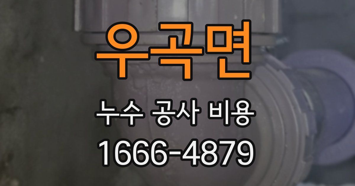 우곡면 누수 공사 비용