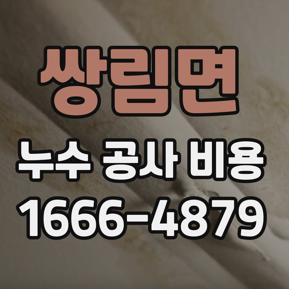 쌍림면 누수 공사 비용