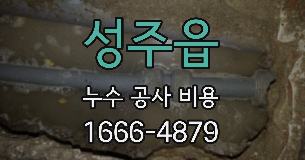 성주읍 누수 공사 비용