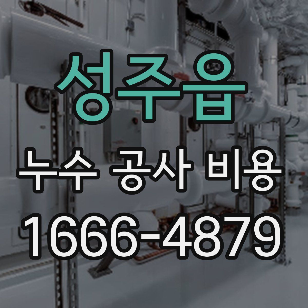 성주읍 누수 공사 비용