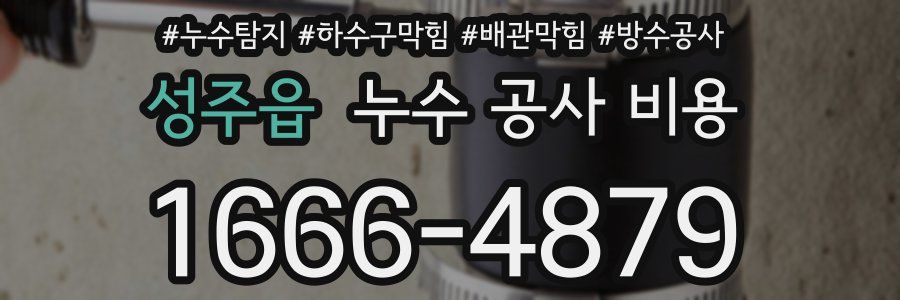 성주읍 누수 공사 비용