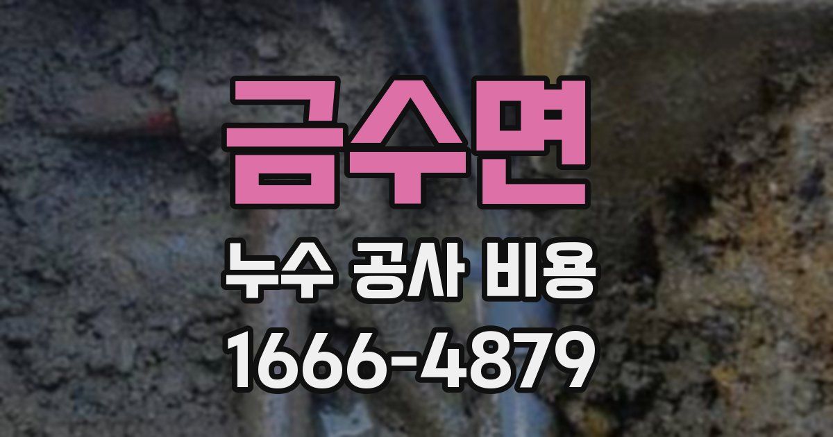 금수면 누수 공사 비용