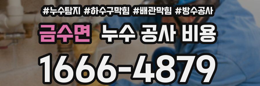 금수면 누수 공사 비용