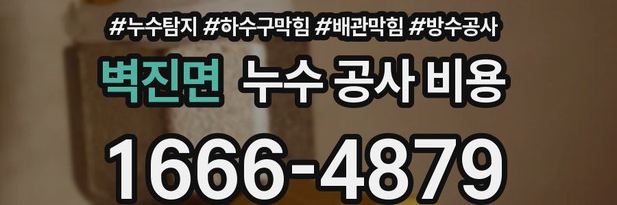 벽진면 누수 공사 비용