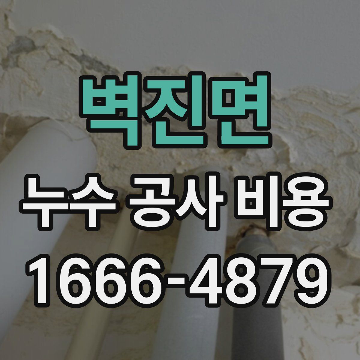 벽진면 누수 공사 비용