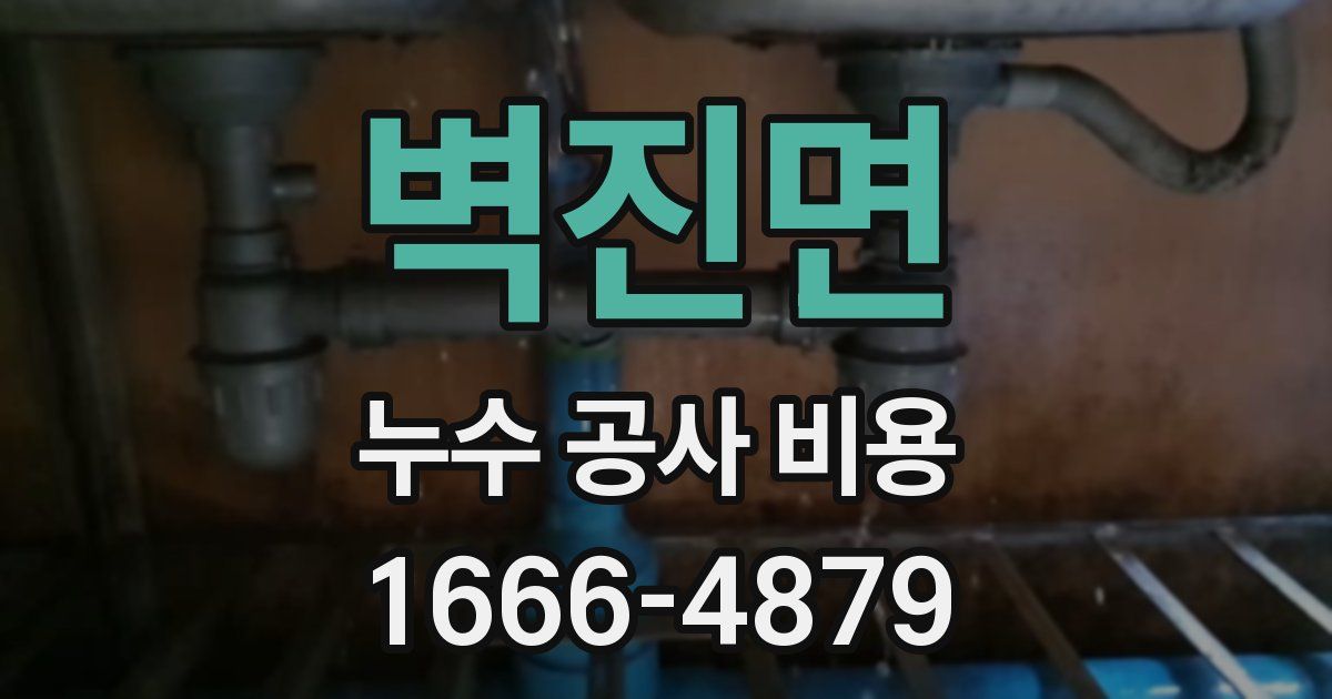 벽진면 누수 공사 비용