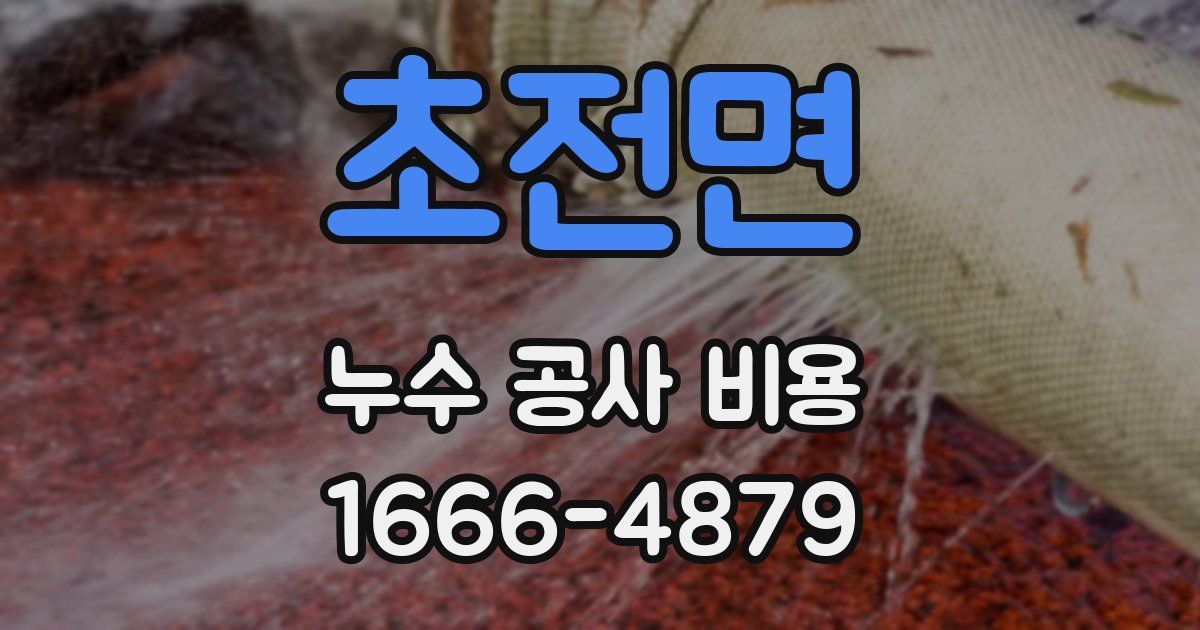 초전면 누수 공사 비용
