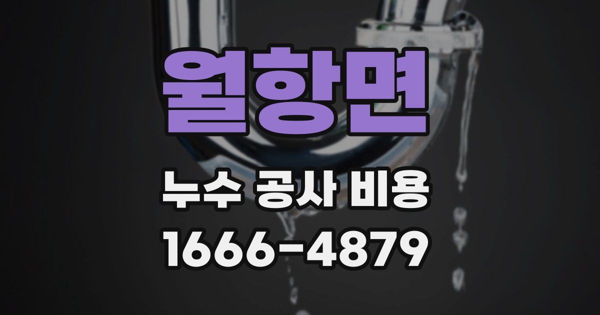 월항면 누수 공사 비용