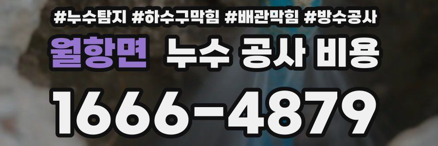 월항면 누수 공사 비용
