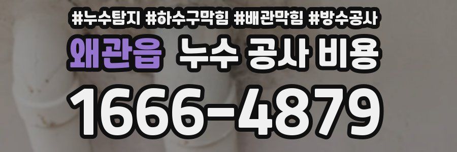 왜관읍 누수 공사 비용