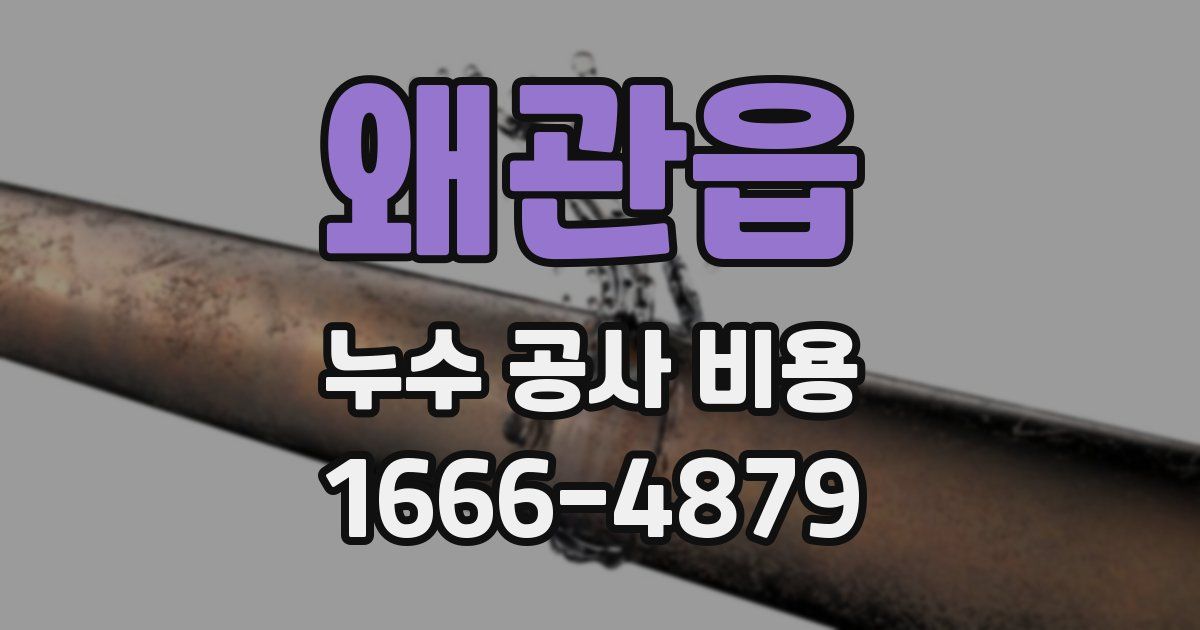 왜관읍 누수 공사 비용