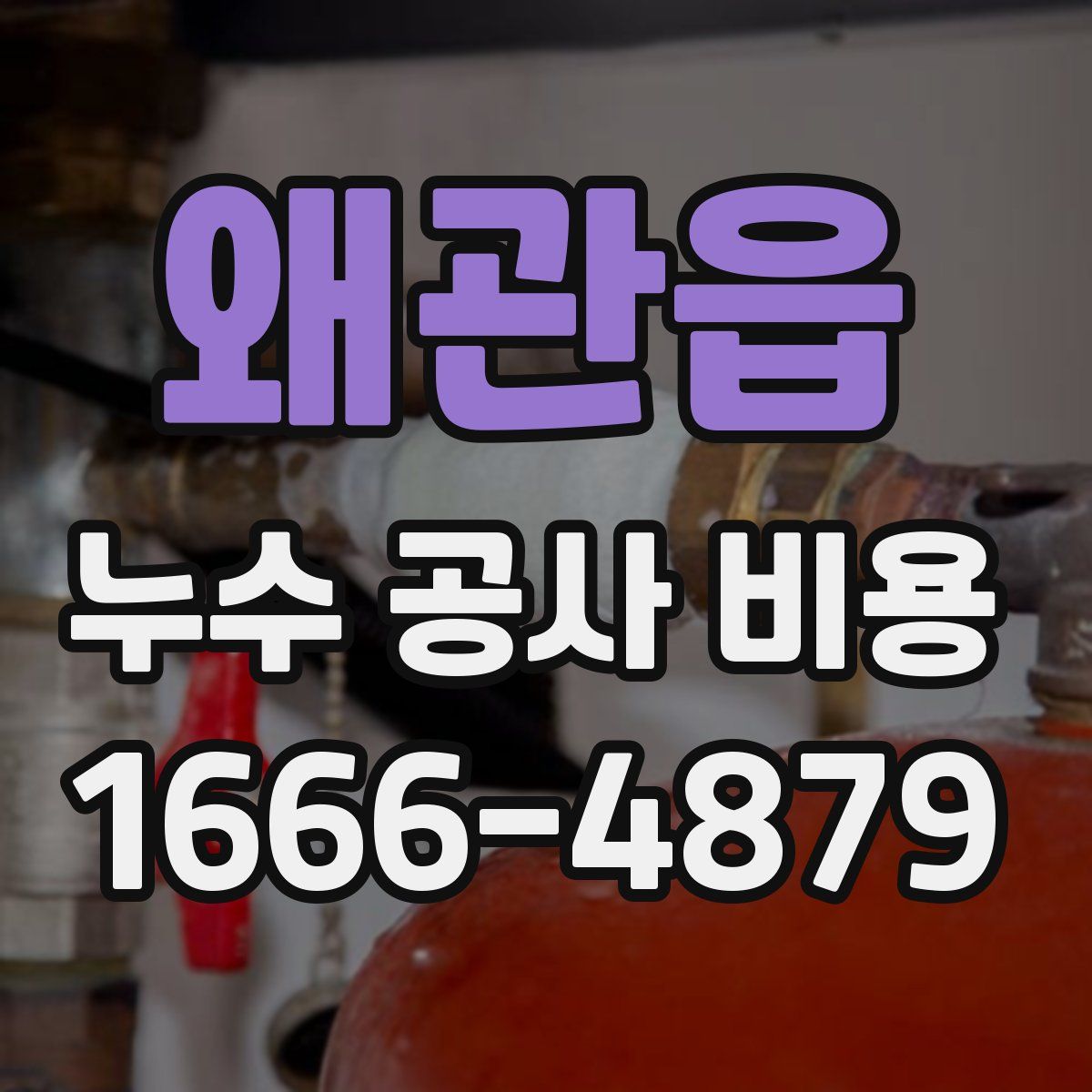 왜관읍 누수 공사 비용