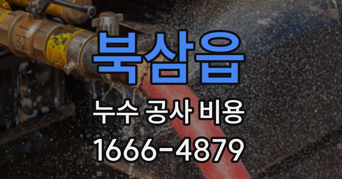 북삼읍 누수 공사 비용