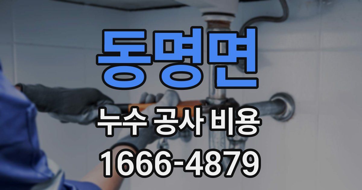 동명면 누수 공사 비용