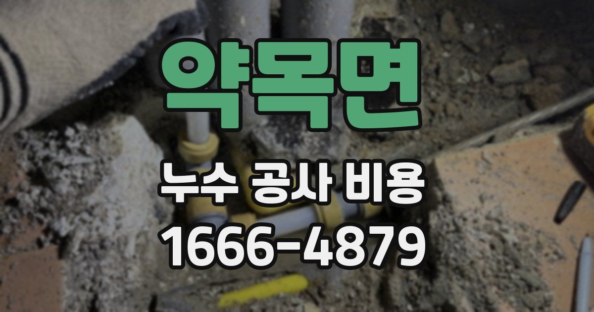 약목면 누수 공사 비용