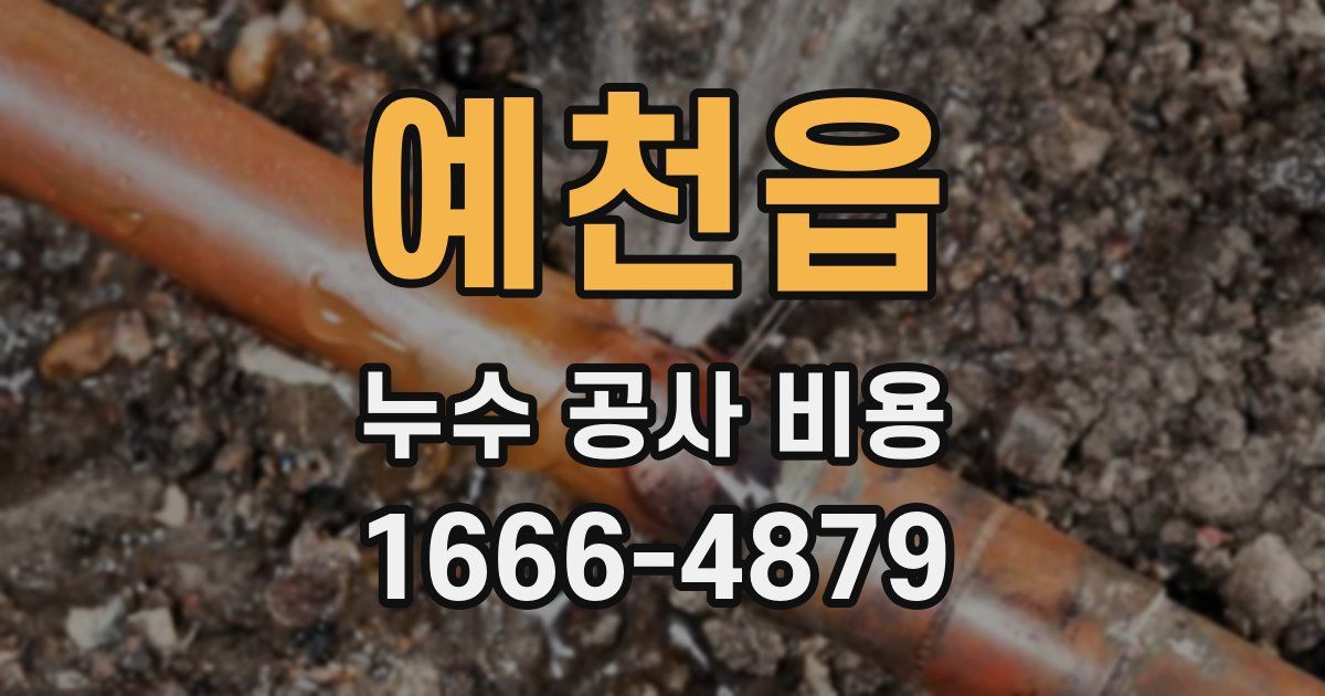 예천읍 누수 공사 비용
