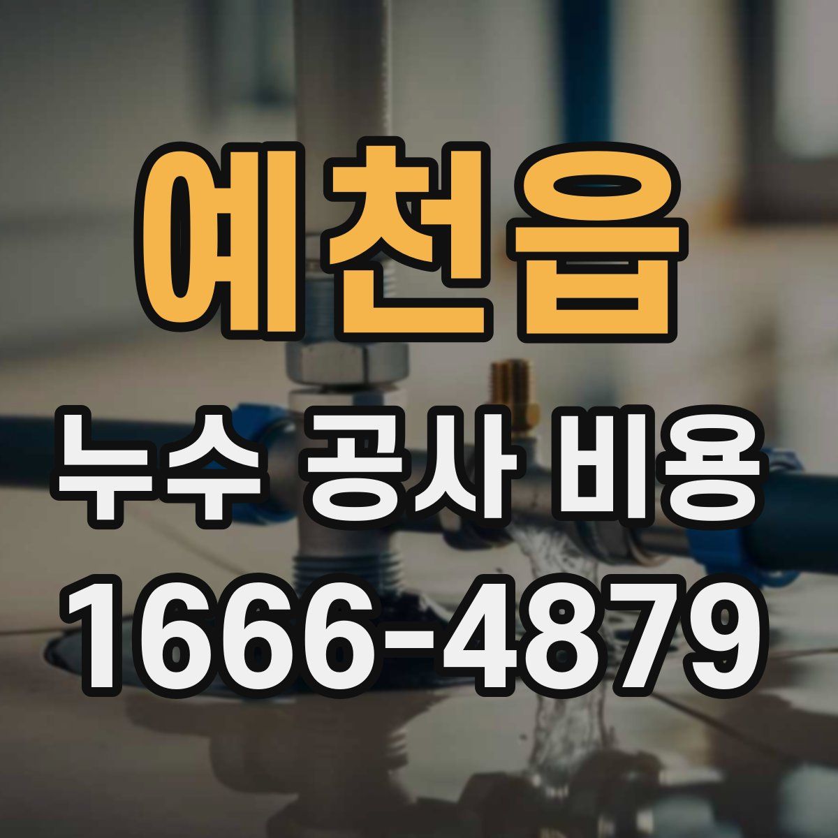 예천읍 누수 공사 비용